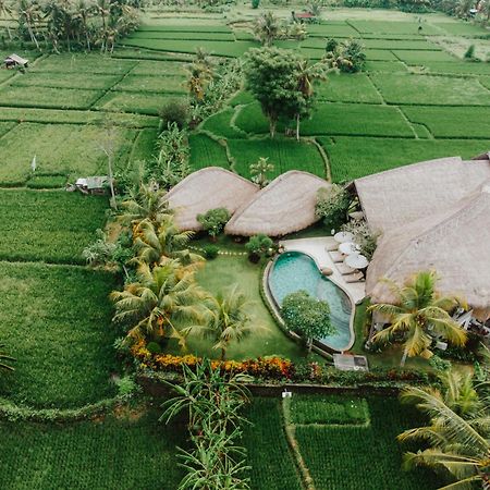 Villa Omah Padi Ubud 외부 사진