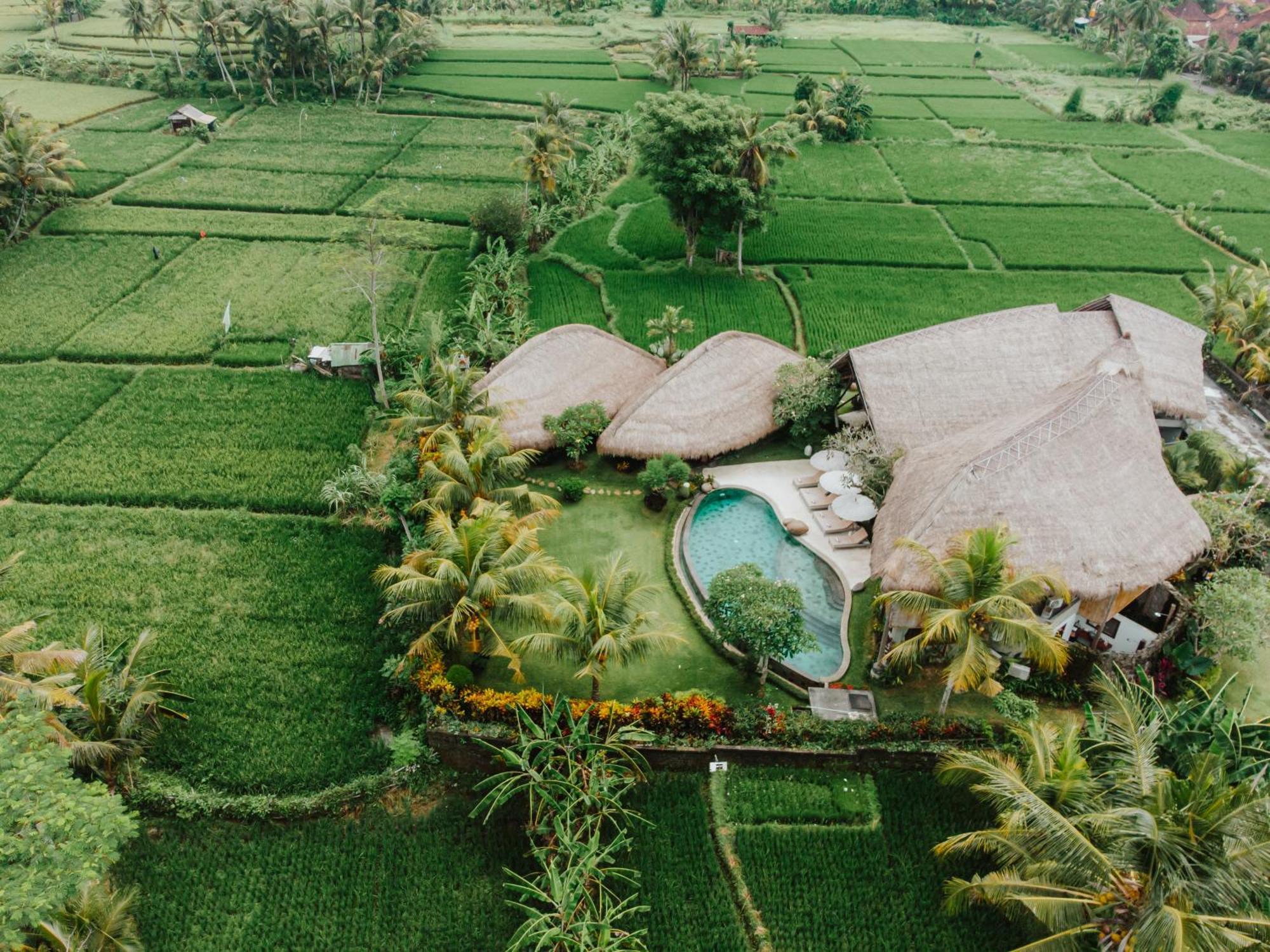 Villa Omah Padi Ubud 외부 사진