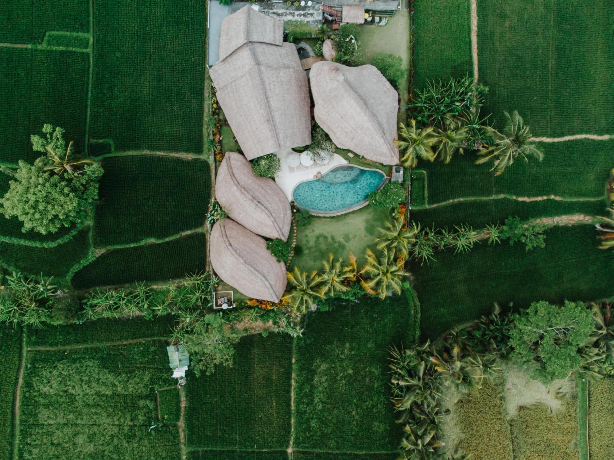 Villa Omah Padi Ubud 외부 사진